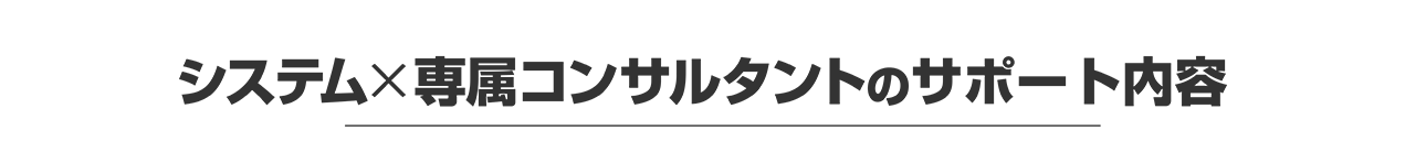 システム×専属コンサルタントのサポート内容